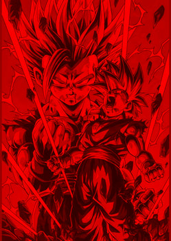 DRAGON BALL Z FANS EDICION