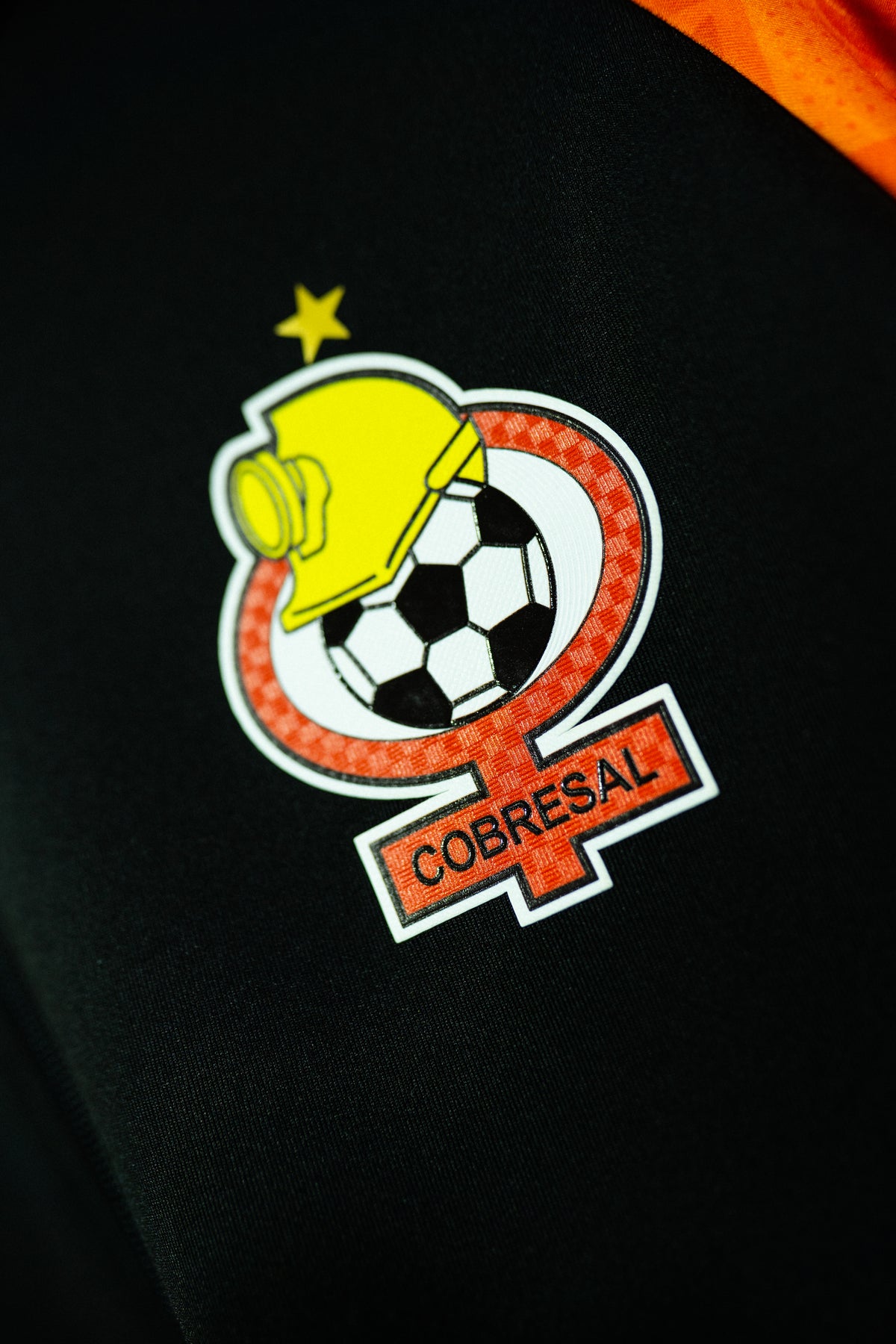 Escudos
